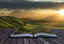 Libri arte 291 0 Libri arte